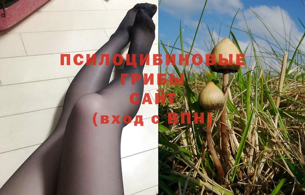 МДПВ Алексин