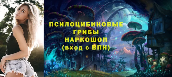 стаф Алексеевка
