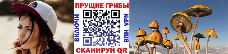 Псилоцибиновые грибы мухоморы  Чехов 
